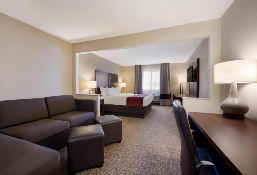 스위트 킹사이즈 침대, Comfort Inn Onalaska  La Crosse Area
