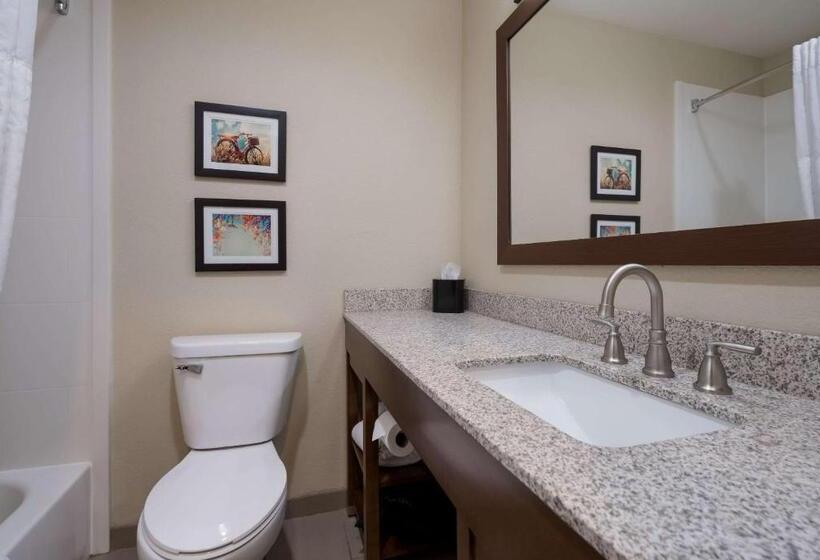 스위트 킹사이즈 침대, Comfort Inn Onalaska  La Crosse Area