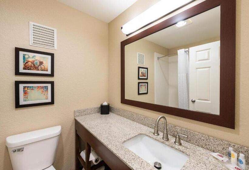 장애인을 위한 킹사이즈 침대 스탠다드 룸, Comfort Inn Onalaska  La Crosse Area