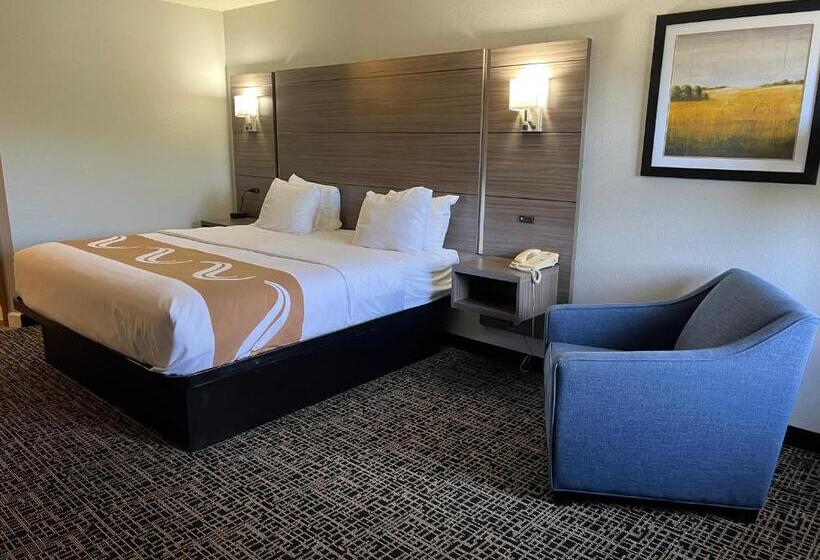 스탠다드 룸 킹사이즈 침대, Quality Inn & Suites Red Wing