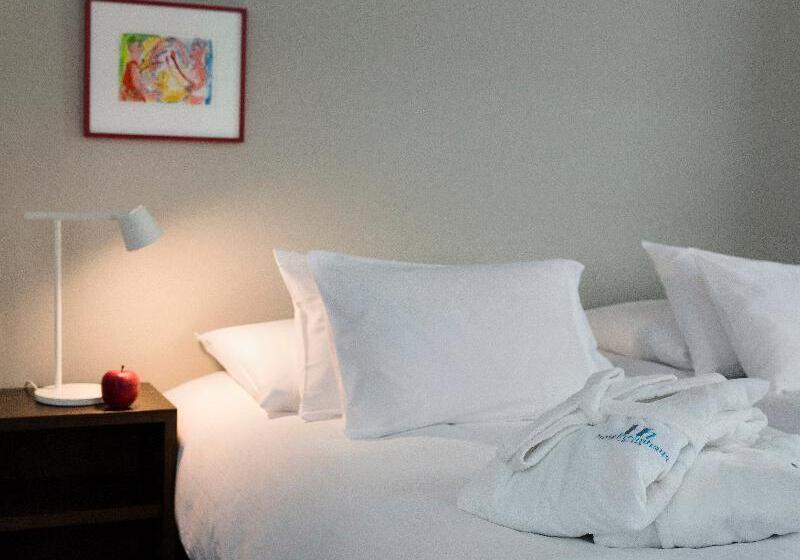 اتاق استاندارد, Boutique Hotel Helmhaus Zürich