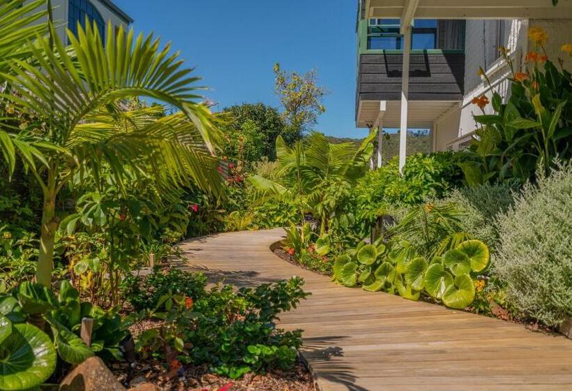 Апартаменты 1 Спальня, Oceans 88 Whitianga Coastal Suites