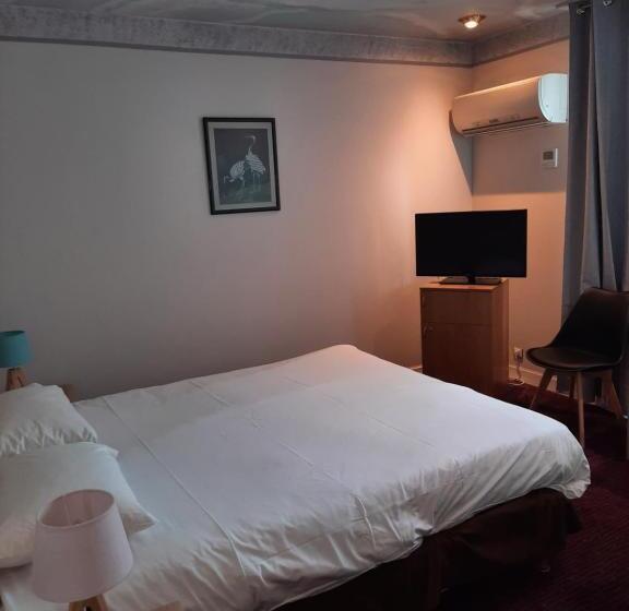 اتاق سوپریور, Logis Hôtel Restaurant Le Medicis