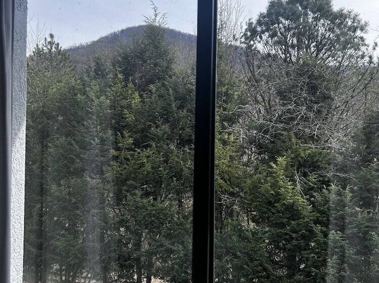 Номер Стандарт, Comfort Inn Asheville East Blue Ridge Pkwy Access