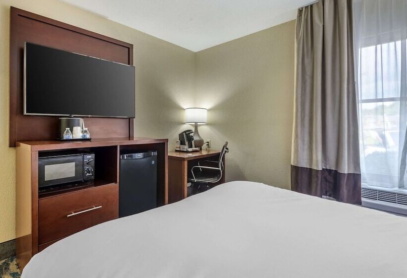 Номер Стандарт, Comfort Inn Asheville East Blue Ridge Pkwy Access