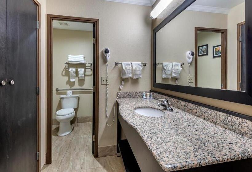 Номер Стандарт 2 Двуспальные Кровати, Comfort Inn Asheville East Blue Ridge Pkwy Access