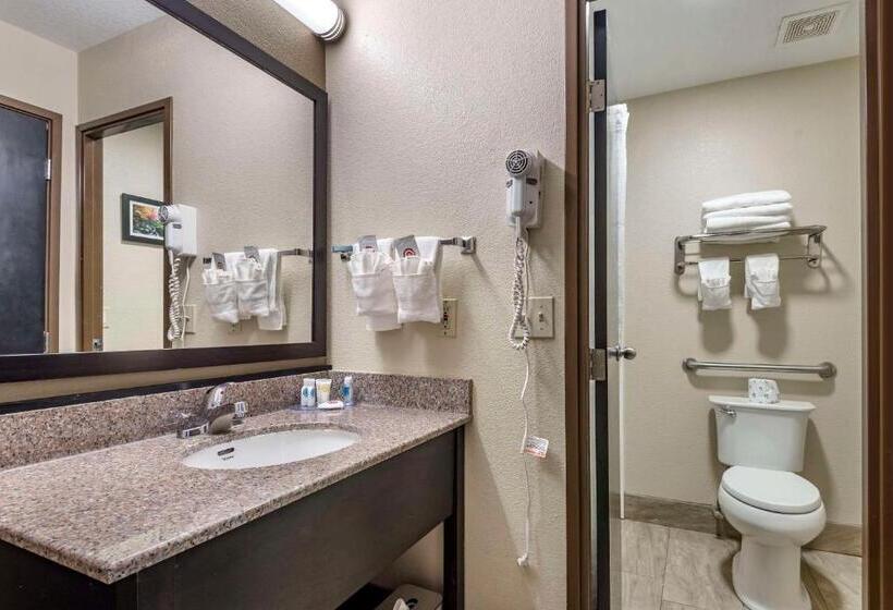 Номер Стандарт 2 Двуспальные Кровати, Comfort Inn Asheville East Blue Ridge Pkwy Access