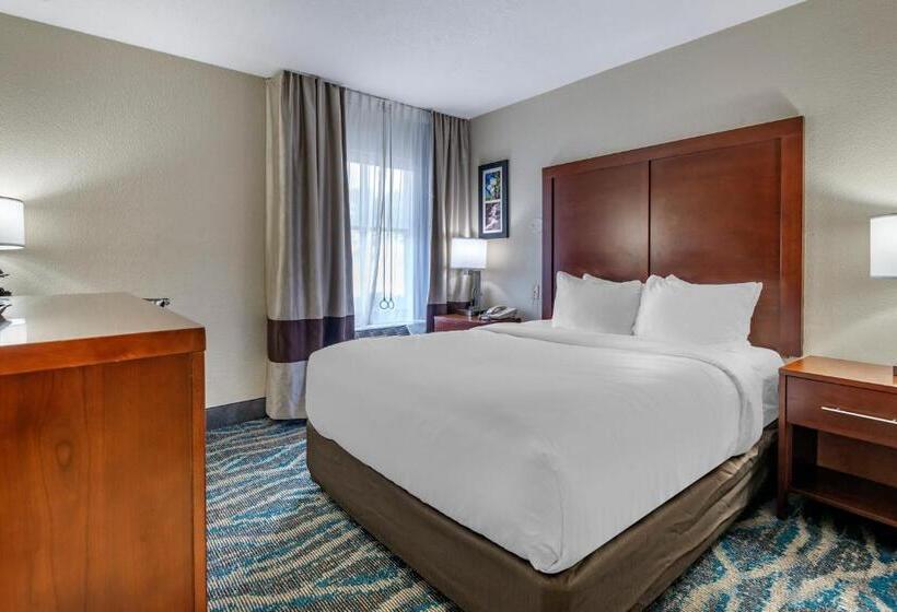 Номер Стандарт, Comfort Inn Asheville East Blue Ridge Pkwy Access