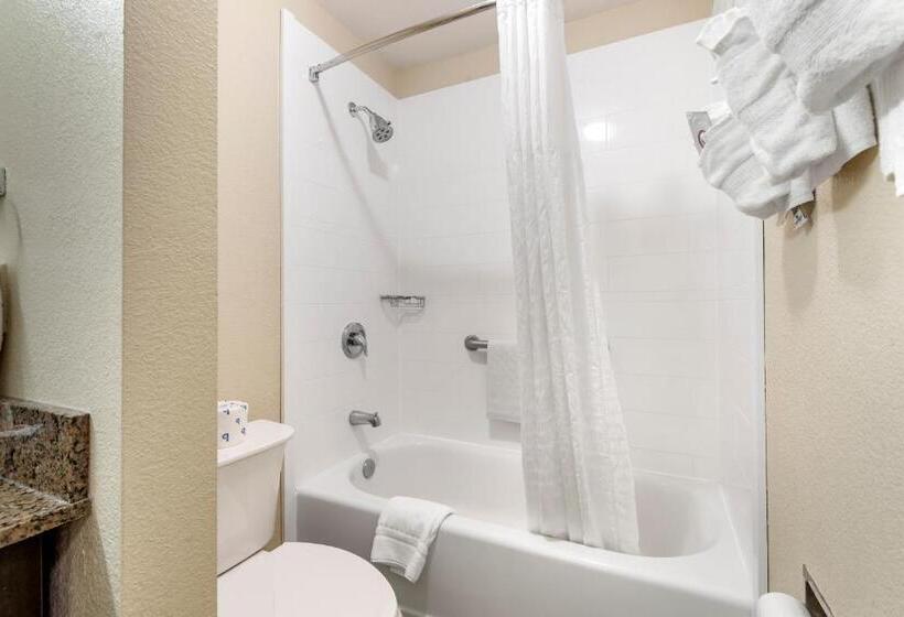 Люкс Кровать Кинг, Comfort Inn Asheville East Blue Ridge Pkwy Access