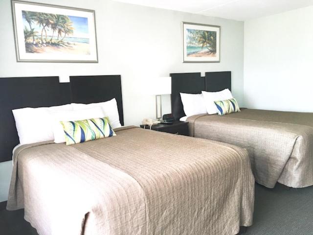 带观景的标准间, Ocean Plaza Motel