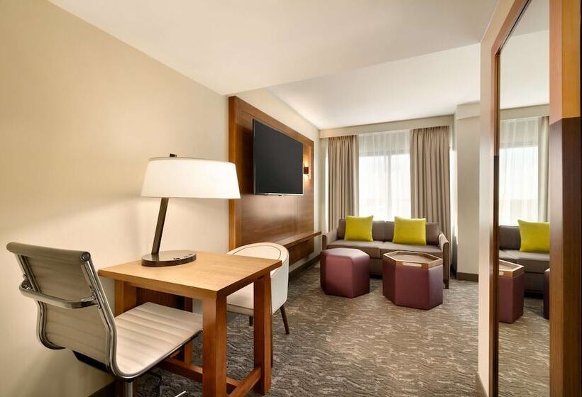 Студия Стандарт Двуспальная Кровать, Embassy Suites By Hilton Phoenix Downtown North