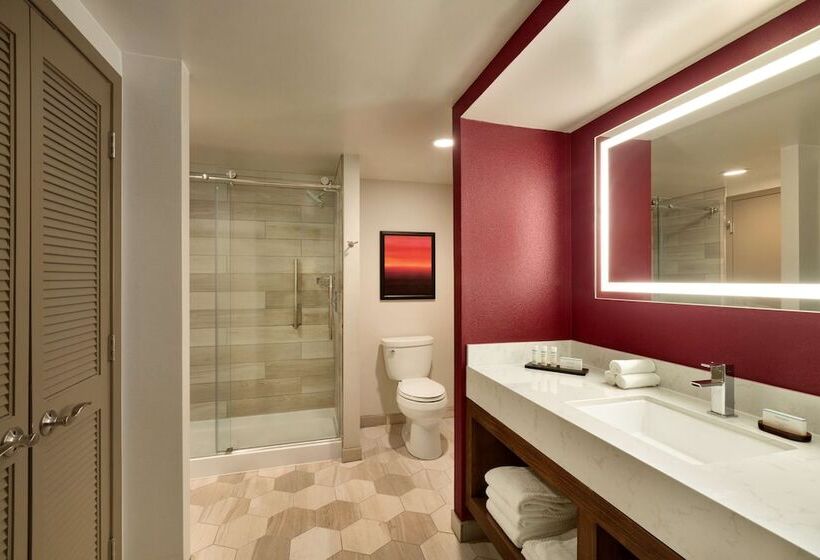 Люкс Адаптированный для Инвалидов, Embassy Suites By Hilton Phoenix Downtown North