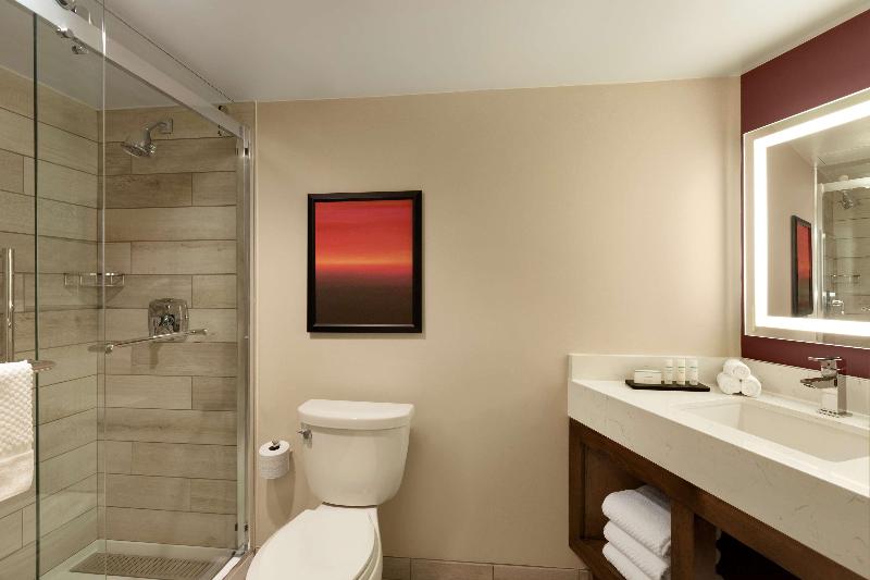 Студио Стандарт Кровать Кинг, Embassy Suites By Hilton Phoenix Downtown North