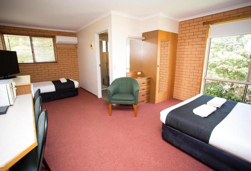 디럭스 룸, Blue Whale Motor Inn & Apartments
