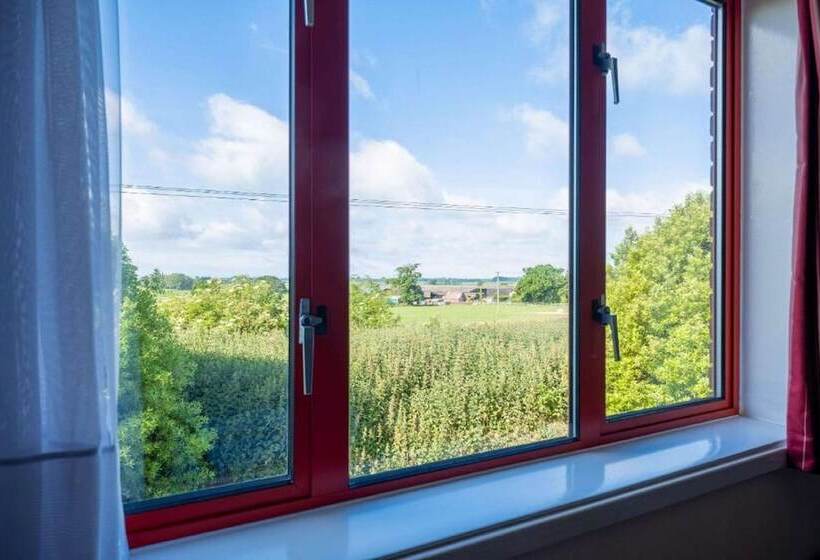 اتاق استاندارد, Comfort Inn Arundel