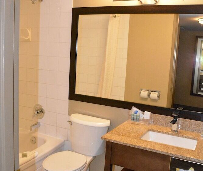 Номер Стандарт 2 Двуспальные Кровати, Best Western Terrace Inn