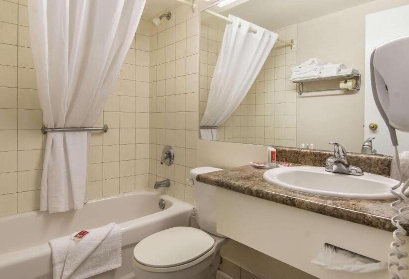 标准间, Econo Lodge