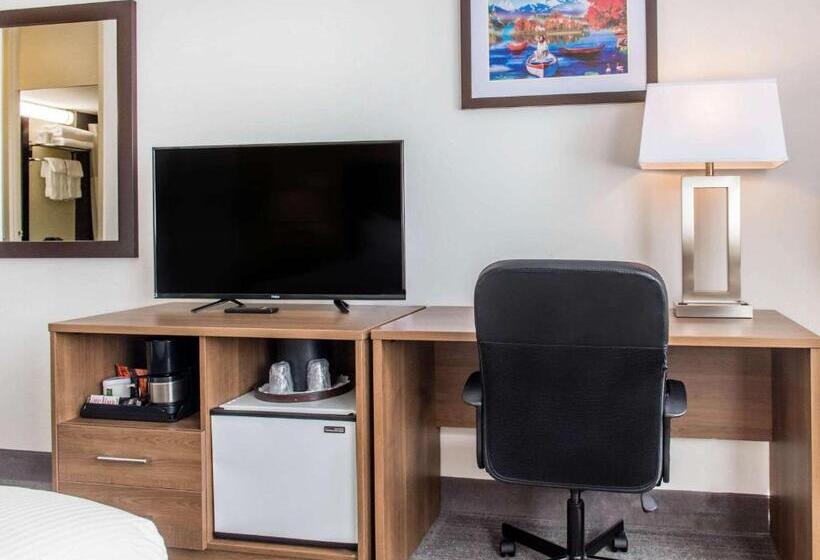 スタンダードルーム, Quality Hotel Dorval Aeroport