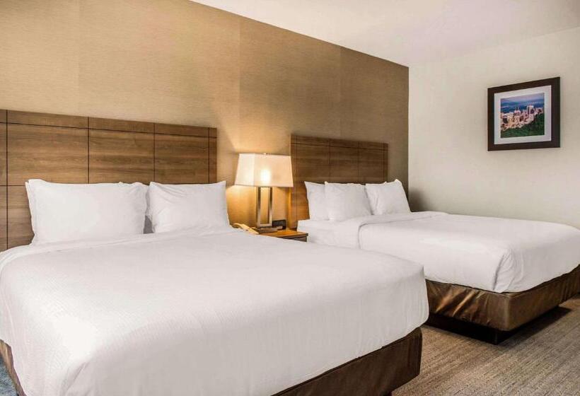 スタンダードルーム, Quality Hotel Dorval Aeroport