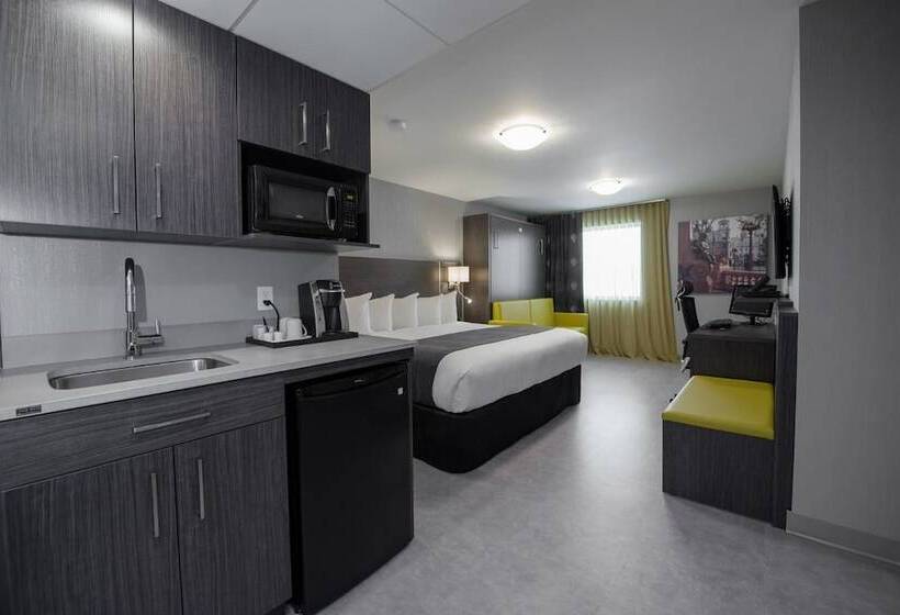 اتاق استاندارد, & Suites Le Dauphin Quebec