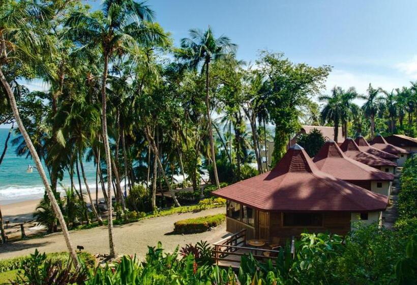 سوییت, Tango Mar Beachfront Boutique Hotel & Villas