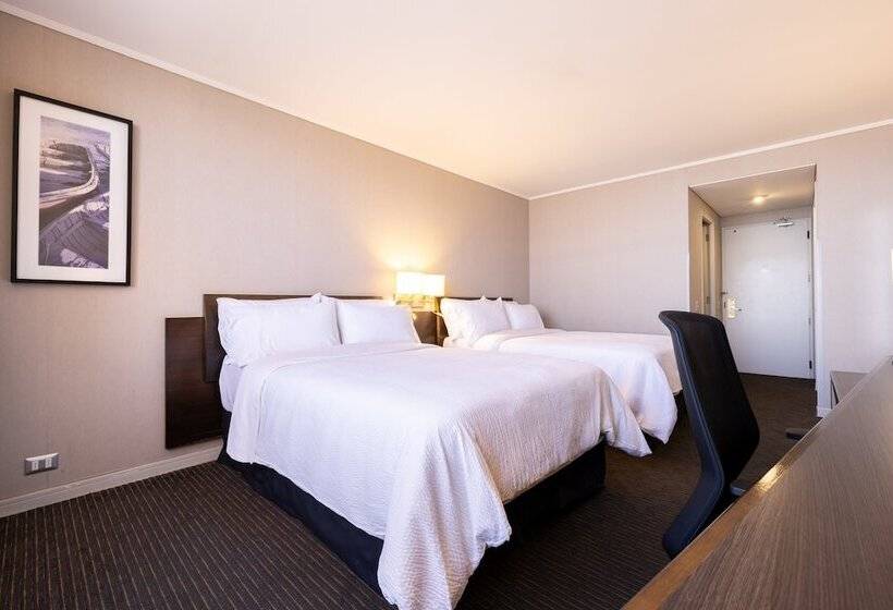 带2个双人床的标准工作室, Holiday Inn Express   Iquique, An Ihg