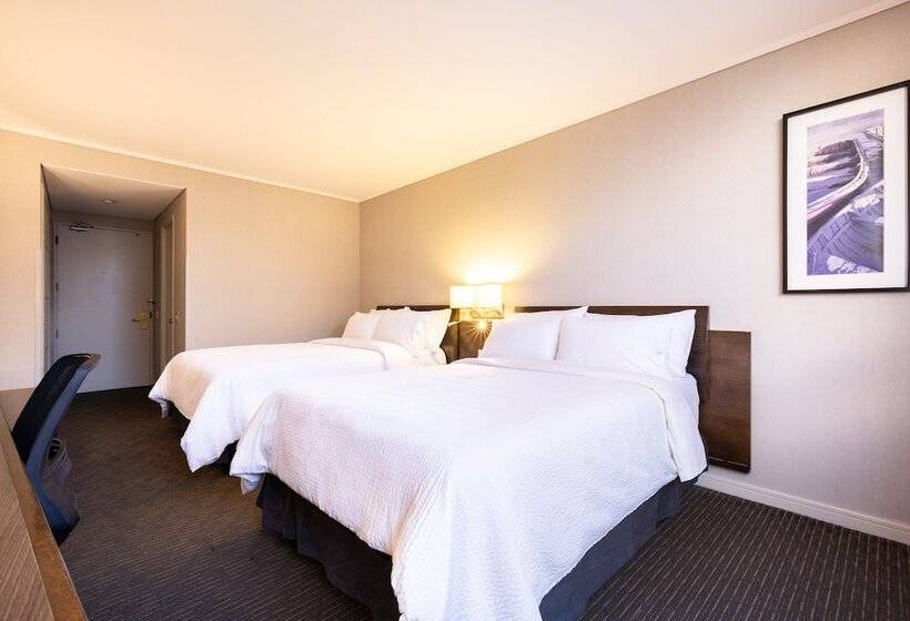 带2个双人床的标准工作室, Holiday Inn Express   Iquique, An Ihg