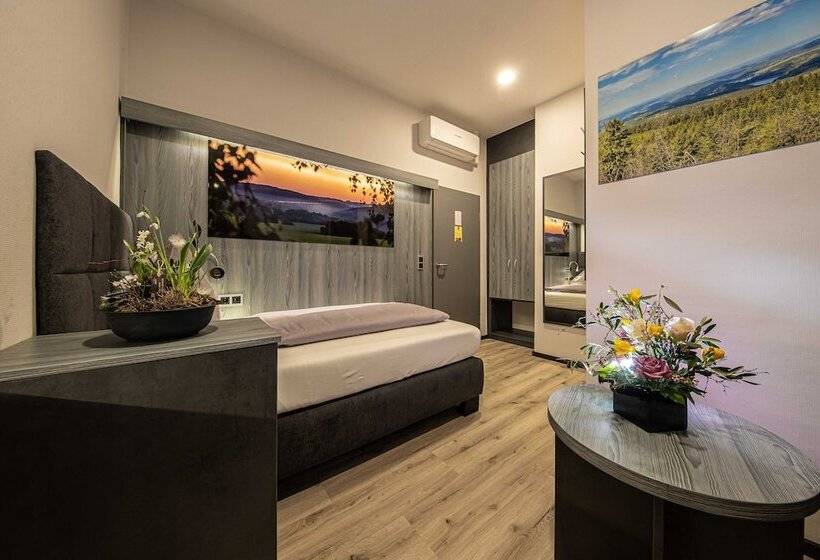 Номер Economy Индивидуальный, Parkhotel Plauen