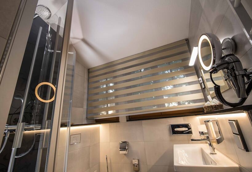 Номер Economy Индивидуальный, Parkhotel Plauen