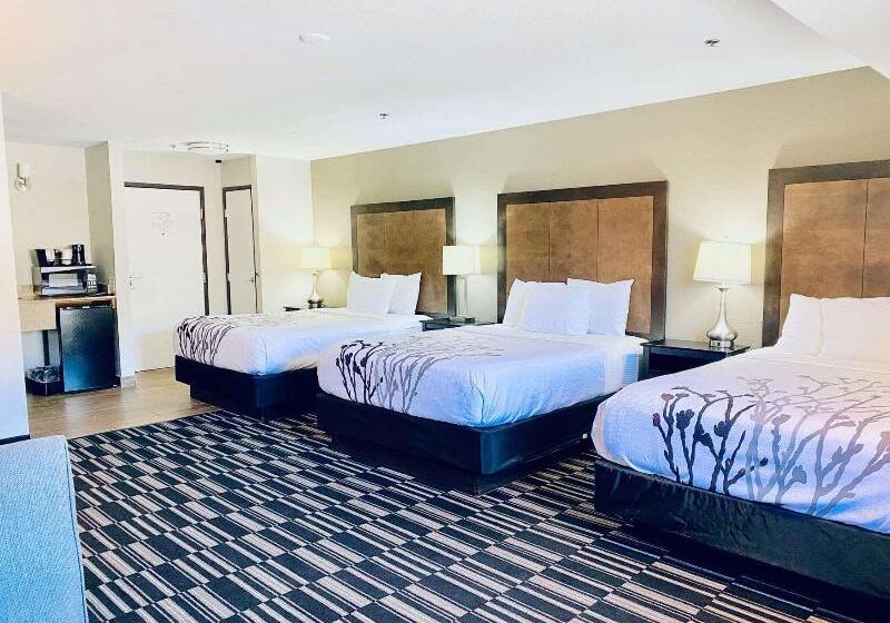 اتاق لوکس, Sofitel Roma Villa Borghese
