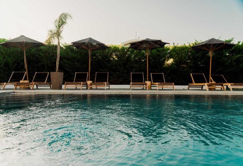 Номер Стандарт Вид на Бассейн, Olive Grove Suites Boutique