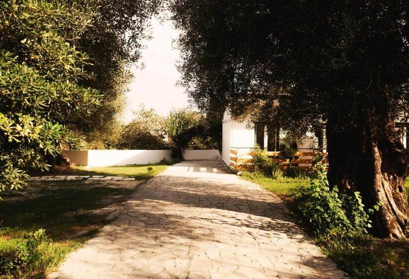 Номер Стандарт с Балконом, Olive Grove Suites Boutique