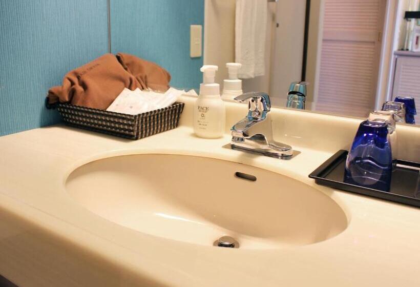 اتاق لوکس, Loisir Hotel Naha