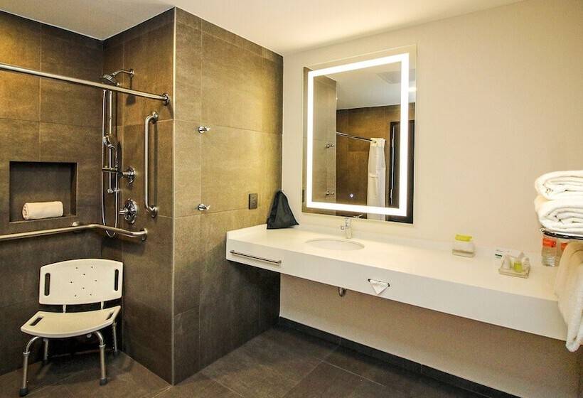 اتاق استاندارد با 2 تخت دوبل, Holiday Inn San Luis Potosi Quijote By Ihg