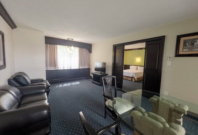 سوییت, Holiday Inn San Luis Potosi Quijote By Ihg