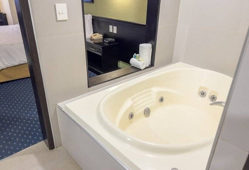 سوییت, Holiday Inn San Luis Potosi Quijote By Ihg