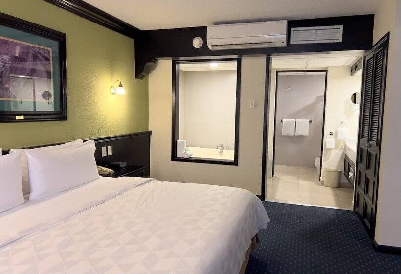 سوییت, Holiday Inn San Luis Potosi Quijote By Ihg