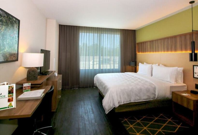 اتاق استاندارد با 2 تخت دوبل, Holiday Inn San Luis Potosi Quijote By Ihg