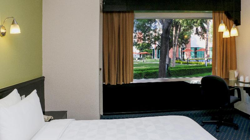 اتاق استاندارد با تخت بزرگ, Holiday Inn San Luis Potosi Quijote By Ihg