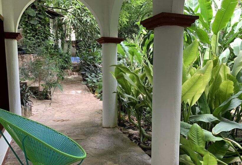 اتاق استاندارد, La Ceiba