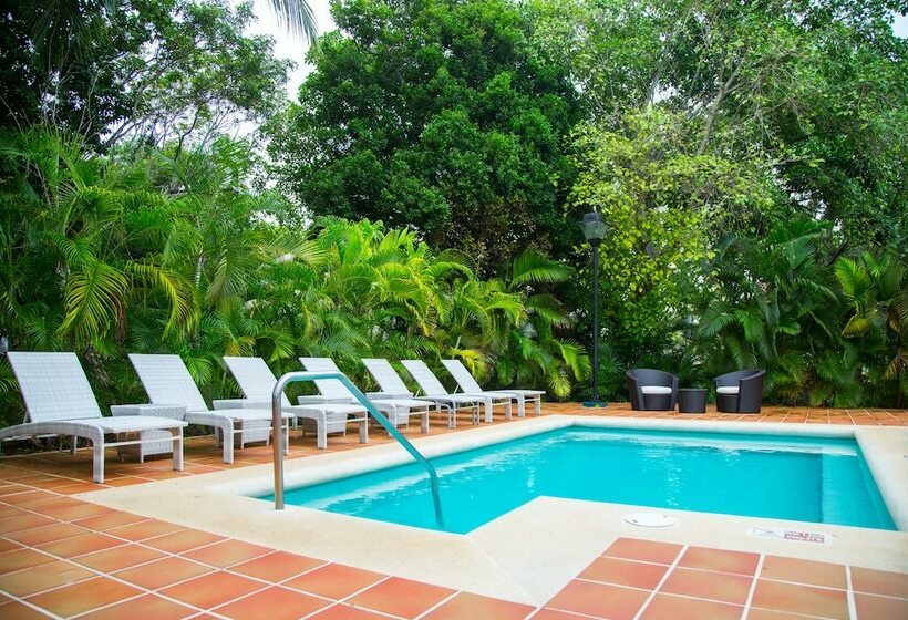 Junior Suite, Sandos Playacar  All Inclusive