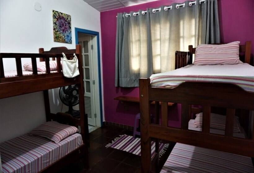 تختخواب در اتاق مشترک, Bada Hostel & Kite School