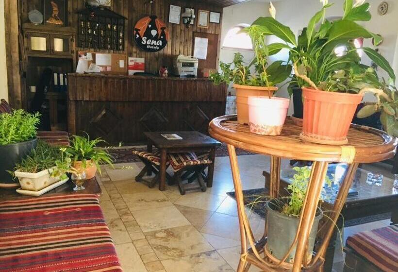 اتاق لوکس, Sena Hotels