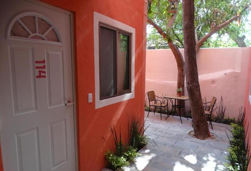 اتاق اکونومی, Casa San Juan