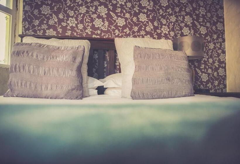 اتاق لوکس, Princes Lodge Guesthouse