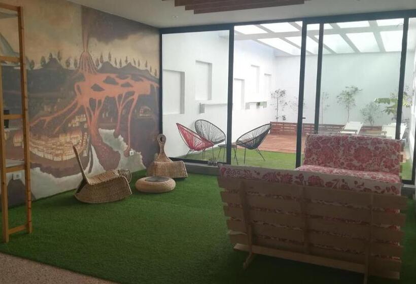 تختخواب در اتاق مشترک, Trevejo Hostel