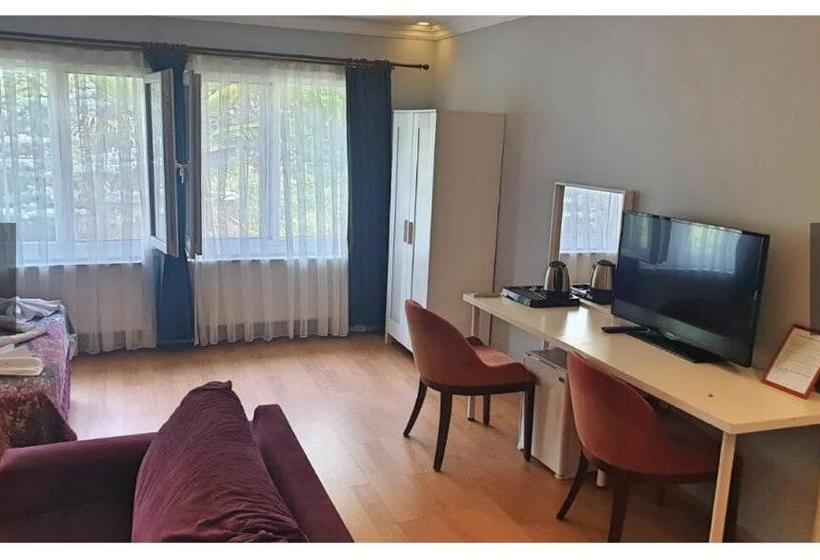 Номер Стандарт, Alesta Butik Otel