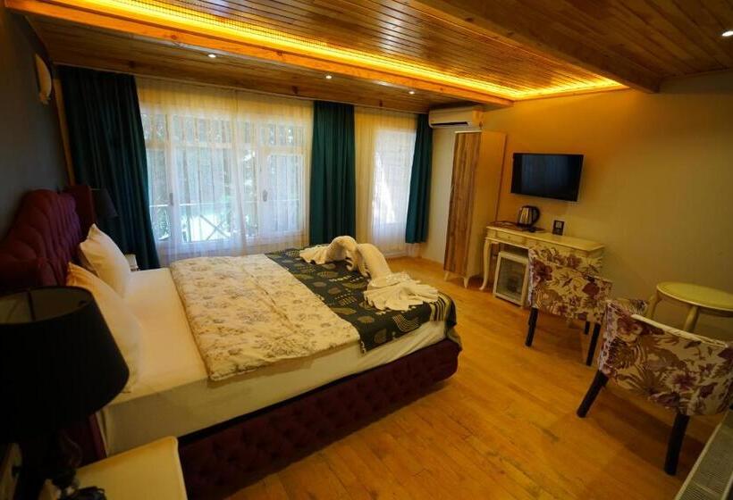 Стандартный Номер Кровать Кинг, Alesta Butik Otel
