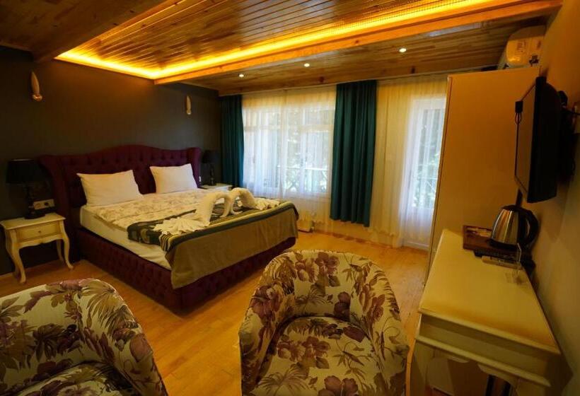 Стандартный Номер Кровать Кинг, Alesta Butik Otel