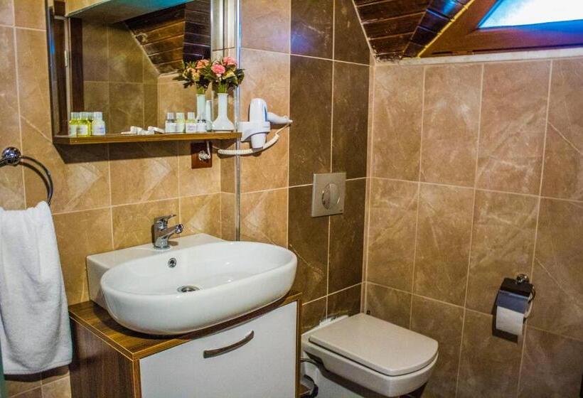 Студио Стандарт Вид на Бассейн, Form Thermal Hotel & Spa Kazdağları